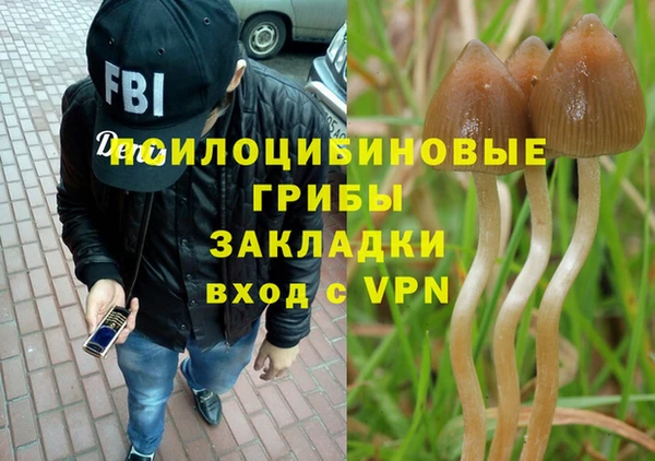 MDMA Бородино