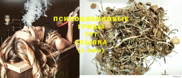 ECSTASY Бугульма
