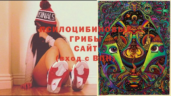 ECSTASY Бугульма