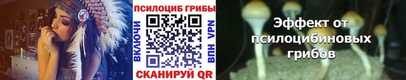 Купить закладки  Миллерово  Псилоцибиновые грибы Cubensis 