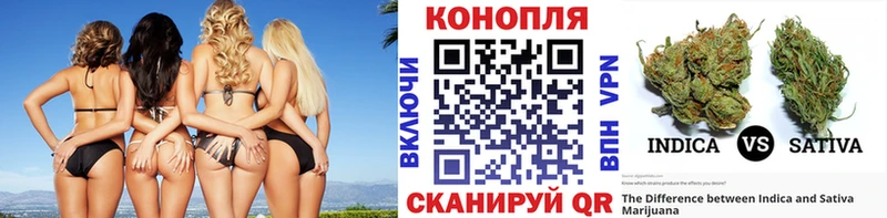 Купить закладки  Миллерово  Каннабис VHQ 